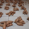 Growing and selling vegetables product's 