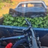 Growing and selling vegetables product's 