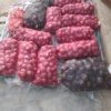 Growing and selling of Red onion