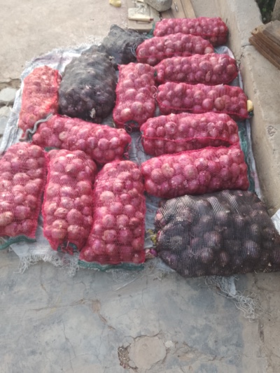 Growing and selling of Red onion