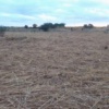 Asking for a donor to assist with goal posts on our ground.
