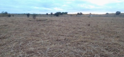 Asking for a donor to assist with goal posts on our ground.