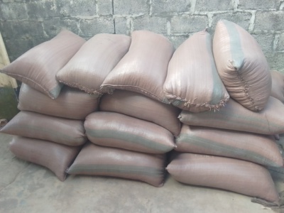 20 by 50kg maize bags for sale