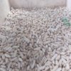 20 by 50kg maize bags for sale