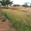 I'm selling a two hectors Land along great East road just opposite msekera turn off just a 1.2km from the Tarmac. 